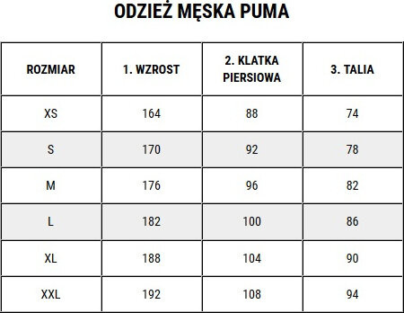 Koszulka bramkarska męska Puma teamPACER GK LS niebiesko-czarna 704933 40