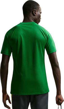 Koszulka męska NIke Dri-Fit Park VIII zielona HV8173 302