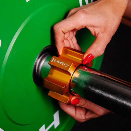 Zaciski lock jaw HMS ZG1500 golden (2 szt)