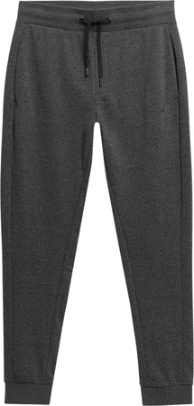 Spodnie męskie 4F M223 szare 4FSS23TTROM223 23M