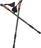 Kije kijki Nordic Walking Scout Bjorn zielone 3cz