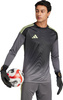 Koszulka bramkarska męska adidas Tiro 25 Competition Long Sleeve Jersey LM szara JN2017