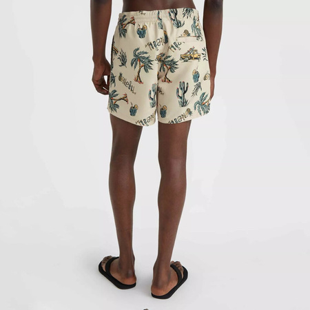 Męskie szorty O'neill MIX