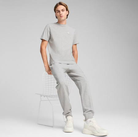 Koszulka męska Puma Ess Elevated Tee szara 684726 04