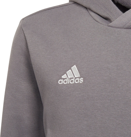 Bluza dla dzieci adidas Entrada 22 Hoody szara H57515