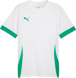 Koszulka męska Puma teamGoal Matchday Jersey biało-zielona 705747 15
