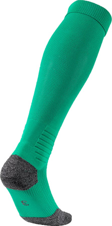 Getry piłkarskie Puma Team LIGA zielone 703438 05