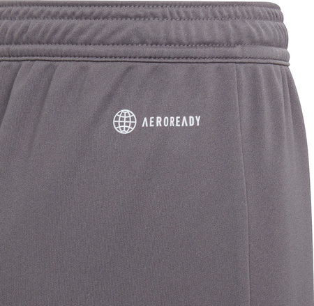 Spodenki dla dzieci adidas Entrada 22 szare H57507