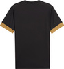 Koszulka męska Puma teamGoal Matchday Jersey czarno-złota 705747 28