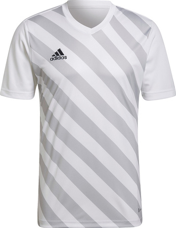 Koszulka męska adidas Entrada 22 Graphic Jersey biało-szara HF0129