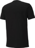 Koszulka męska Puma teamGOAL 23 Casuals Tee czarna 656578 03