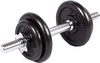 Hantel żeliwny Profit 10 kg DK 4126