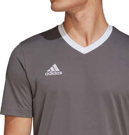 Koszulka męska adidas Entrada 22 Jersey szara