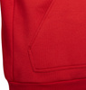 Bluza dla dzieci adidas Entrada 22 Hoody czerwona H57566