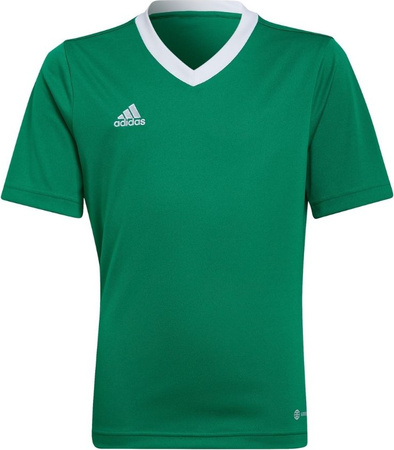 Koszulka dla dzieci adidas Entrada 22 Jersey zielona HI2126