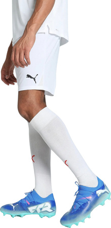 Spodenki męskie Puma Team Goal białe 705752 04