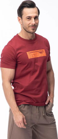 Męska koszulka z krótkim rękawem Hi-tec HAMILONI rozmiar S