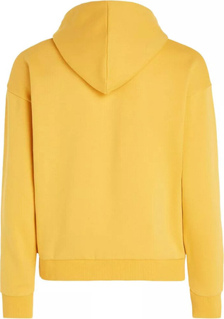 Damska bluza O'neill FUTURE SURF SOCIETY HOODIE golden haze rozmiar S