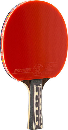 Rakietka do tenisa stołowego ping-ponga Giant Dragon 9★ N8091 2 piłeczki, pokrowiec