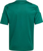 Koszulka dla dzieci adidas Tiro 24 Jersey zielona IS1028