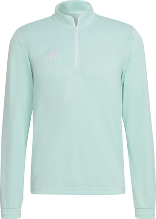 Bluza męska adidas Entrada 22 Training Top miętowa HC5050