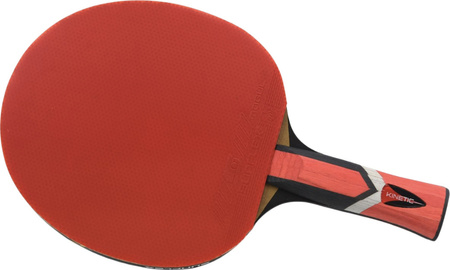 Rakietka do tenisa stołowego pin-ponga Sunflex TT Legend A50 10346