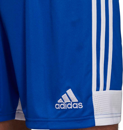 Spodenki treningowe krótkie męskie adidas Tastigo 19 Shorts niebieskie DP3682