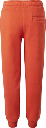 Dziecięce spodnie dresowe bawełniane Iguana Lokiro Tb rozmiar 164