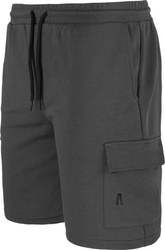 Spodenki męskie Alpinus Bajadilla szare SI18149