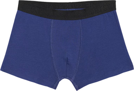 Bokserki dla chłopca 4F M045 multikolor 2 4FJWMM00UBXSM045 92S