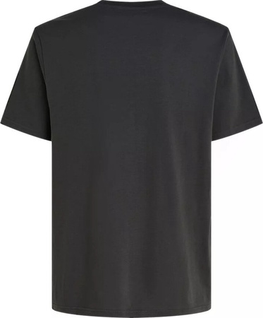 Męska koszulka z krótkim rękawem O'neill FUTURE SURF SOCIETY T-SHIRT raven rozmiar M