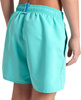 Dziecięce Szorty Boys' Beach Boxer Solid R  poppy red/patriot blue rozmiar 8-9