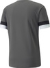 Koszulka męska Puma teamRISE Smoked szara 704932 13