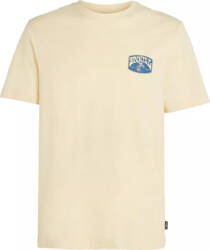 Męska koszulka z krótkim rękawem O'neill O'NEILL BEACH GRAPHIC T-SHIRT paris daisy rozmiar L