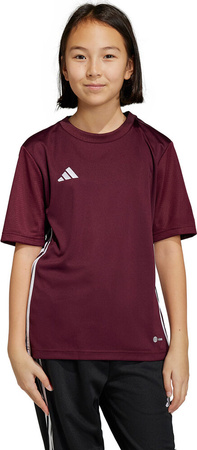 Koszulka dla dzieci adidas Tabela 23 Jersey bordowa IB4933