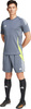 Spodenki treningowe krótkie męskie adidas Tiro 24 Training szare IV6940
