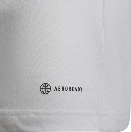 Koszulka dla dzieci adidas Entrada 22 Tee biała HC0447