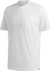 Koszulka męska adidas M BB T biała GD3844