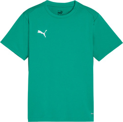 Koszulka dla dzieci Puma TeamGoal Jersey zielona 658637 05