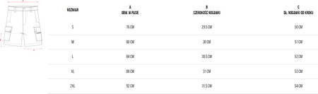 Spodenki męskie Alpinus Hekla zielone SI18154