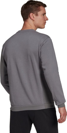 Bluza męska adidas Entrada 22 Sweat Top szara H57479