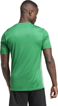 Koszulka męska adidas Tabela 23 Jersey zielona IA9147