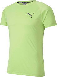 Koszulka męska Puma Rtg Tee Sharp zielona 581504 34