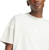 Koszulka męska adidas All SZN biała JJ3679