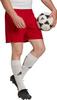 Spodenki treningowe krótkie męskie adidas Entrada 22 czerwone H61735