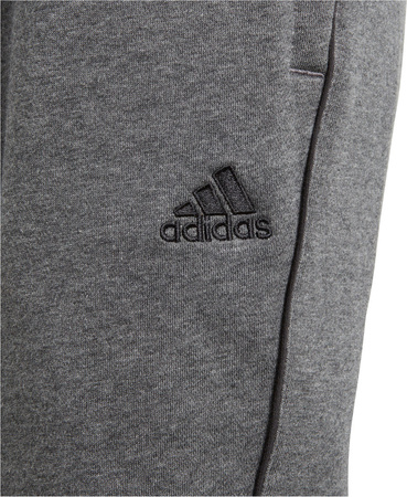 Spodnie dla dzieci adidas Core 18 Sweat JUNIOR szare CV3957