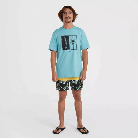 Męskie szorty O'neill MIX