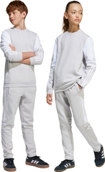 Spodnie dla dzieci adidas Squadra 25 Sweat szare JD4823