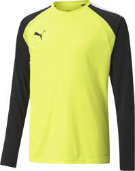 Bluza bramkarska dla dzieci Puma teamPACER GK LS Jersey żółta fluo 704939 42