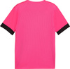 Koszulka męska Puma teamGoal Matchday Jersey różowo-czarna 705747 27